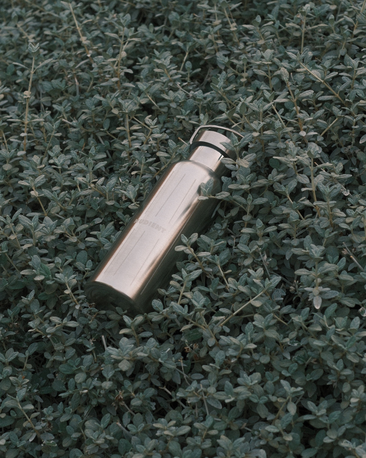 NUDIENT Water Bottle Brushed Stainless Steel