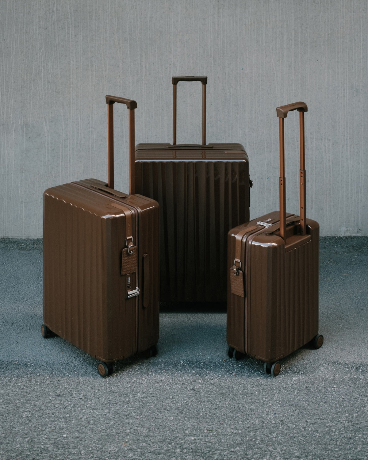 Bold Check-in Bag (L) V2