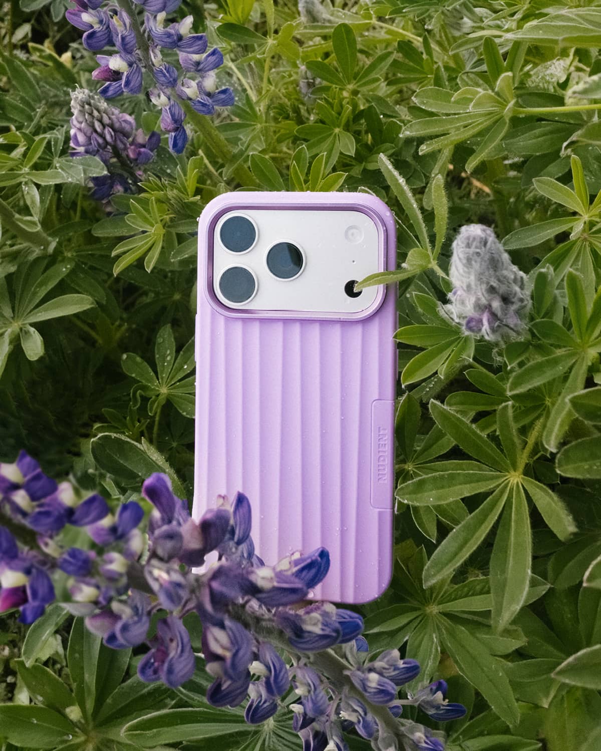 Bold Case